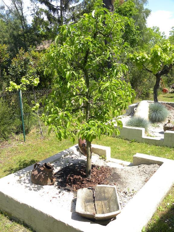 أنديرنو لي بان Villa Mogador Piscine Et Balneo المظهر الخارجي الصورة